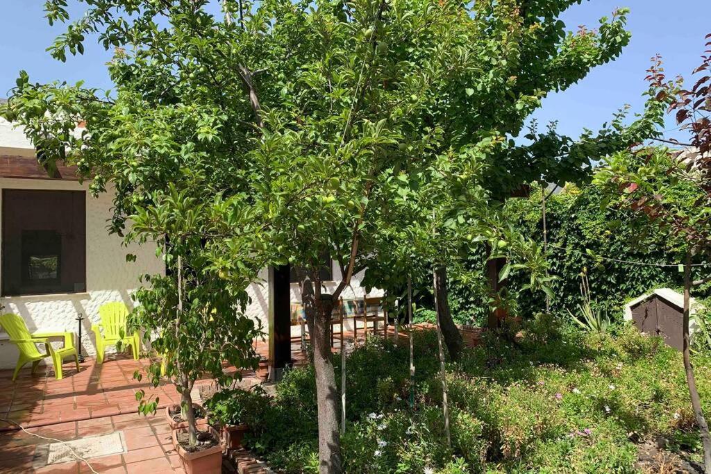 Casa Tranquilla A Pochissimi Passi Dal Mare Villa Sant'Andrea  Екстериор снимка