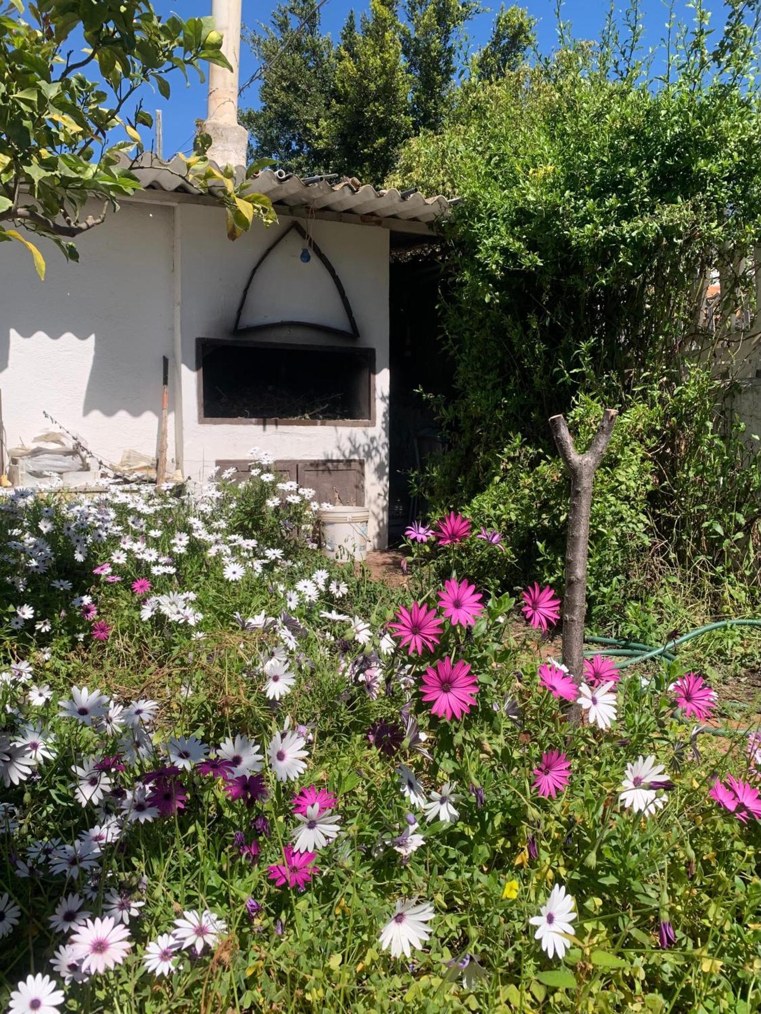 Casa Tranquilla A Pochissimi Passi Dal Mare Villa Sant'Andrea  Екстериор снимка